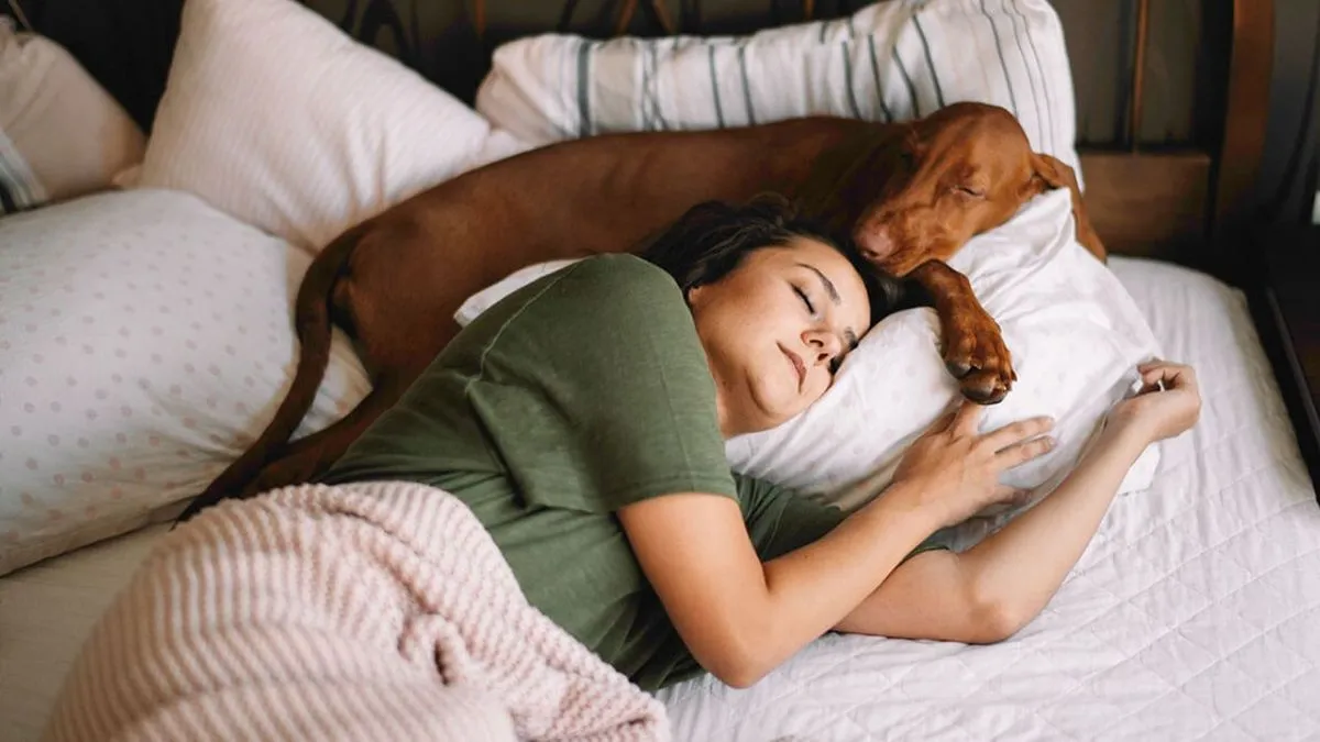 Je bed delen met je huisdier: een vesting vol emotionele en psychologische voordelen