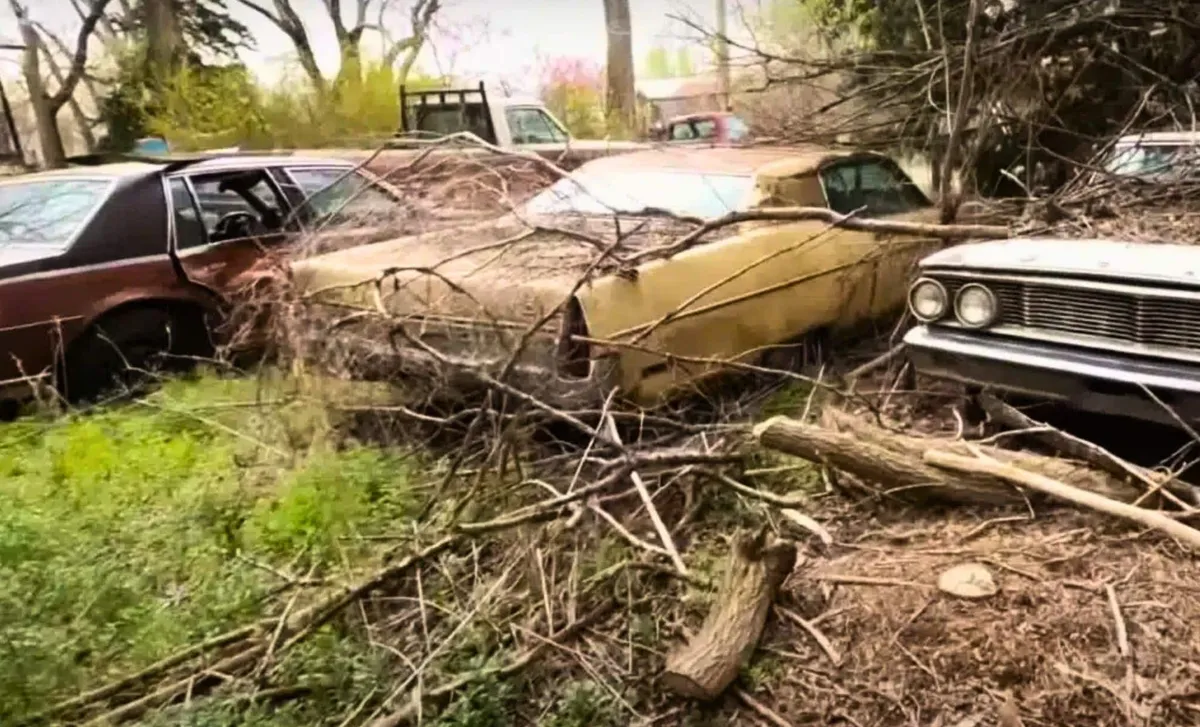 Vergeten autogeschiedenis ontdekt op verlaten boerderij in de VS