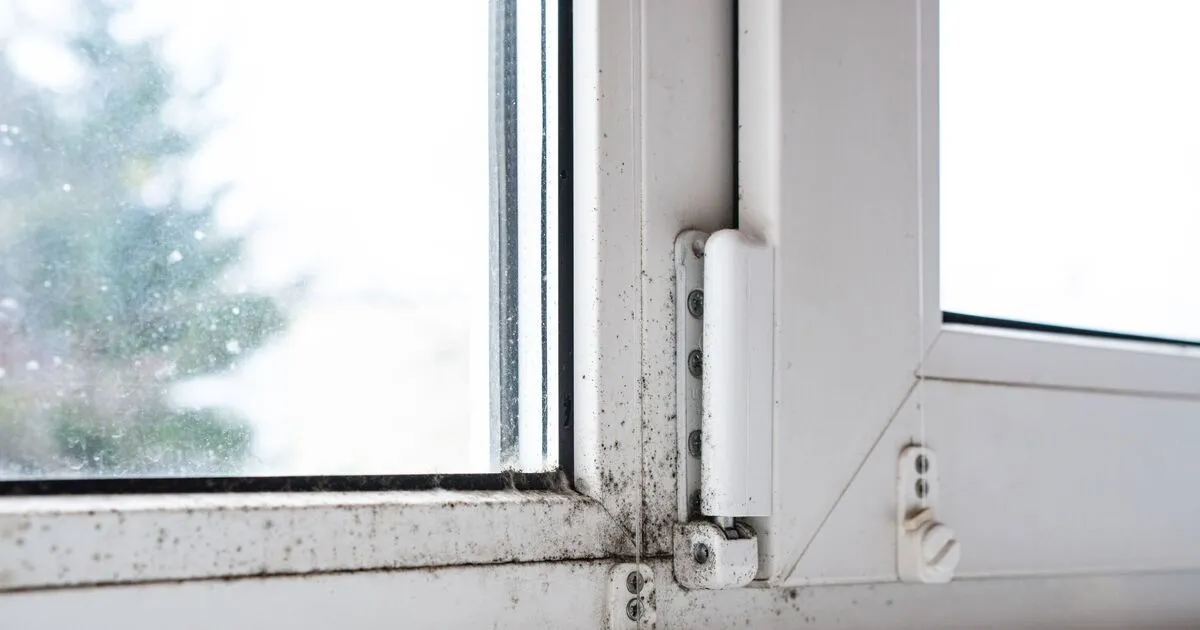 Winter in het VK: vocht en condensatie aanpakken